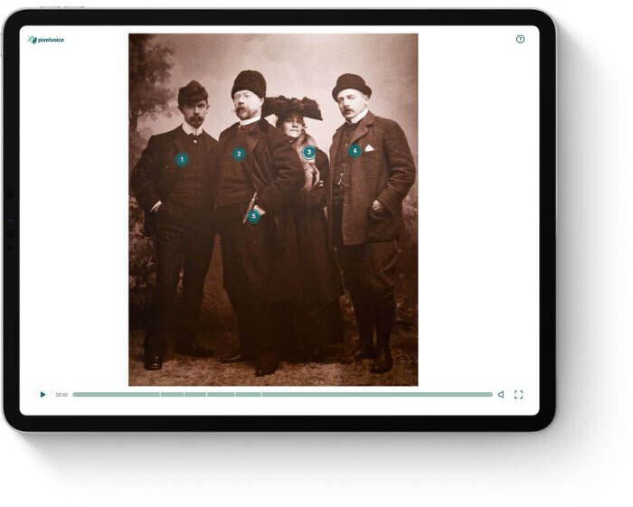 Pixelvoice presentationsvy