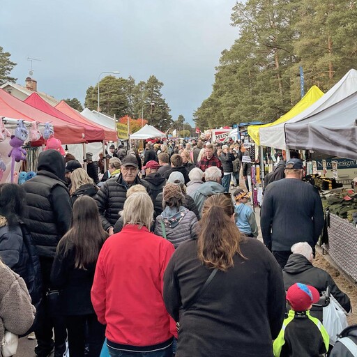 Pixelvoice p&aring; R&auml;ttviks H&ouml;stmarknad 2024